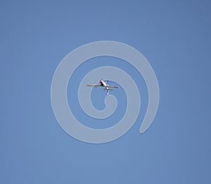 Cessna plane flying upside down