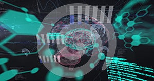 Image of chemical formulas and data processing over rotating brain