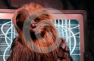 Chewbacca Character