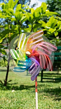 Image of childish colorful pinwheel on the outside. Garden with green grass in a sunny summer day. Rainbow flag LGBT Happy colors photo