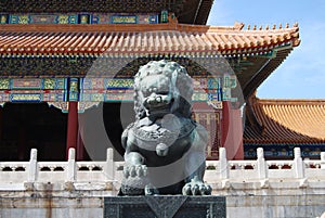 Image of a Chinese lion statue in the forbidden city