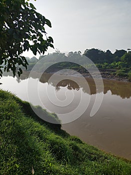 River and green plants photo