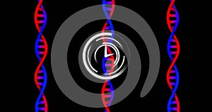 Image of clock moving over dna strands on black background