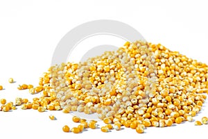 Image close-up selective focus many seeds pile of a bunch of grains corn cereal agricultural crops vegetarian food or canned foo