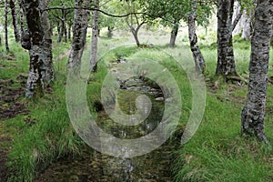 River Zezere in Serra da Estrela Natural Park in Portugal photo