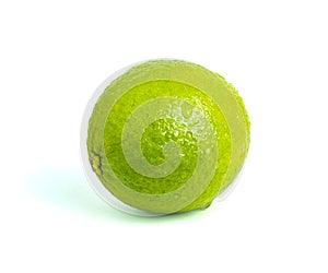 An image closeup isolated whole lime or lemon ripe green color sour taste fresh from wet with water droplets for cooking or