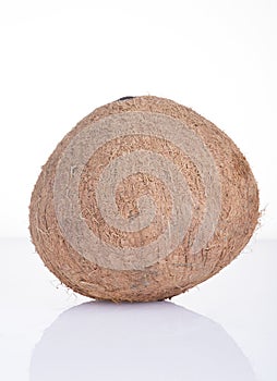 Image of coconut on white background