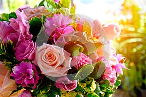 The image of colorful rose flower bouquet with blur background