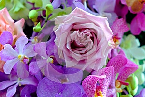 The image of colorful rose flower bouquet with blur background