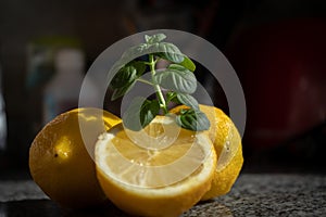 two lemons and half and a spring of mint photo