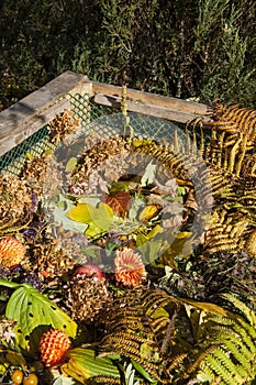 Image of compost bin in the garden