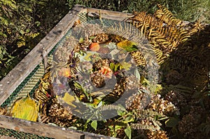 Image of compost bin in the garden