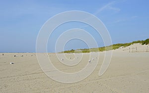 Image of Coopers Beach, Southampton, NY