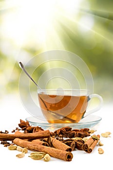 Image of cup of tea and various spices close up