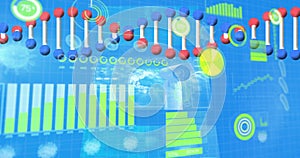 Image of 3d dna, virus with graphs, infographic data processing on digital interface