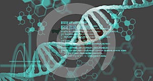 Image of data processing with dna strand over world map