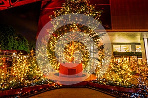 Image of the decoration of the Christmas tree