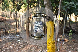 Image of a decorative antique lantern hang in a tree