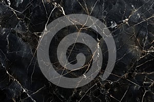 Image of Deep black marble pattern with white veins. Texture for background usage