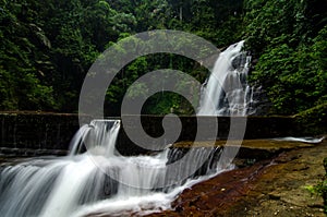 Deep tropical rain forest with flowing cascade waterfall