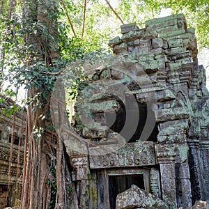 An image that depicts a decaying Khmer stone building from the medieval period, set against a backdrop of a lush Cambodian forest