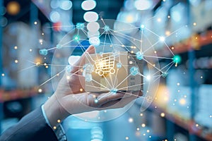 E-commerce Logistics and Supply Chain Network Visualization