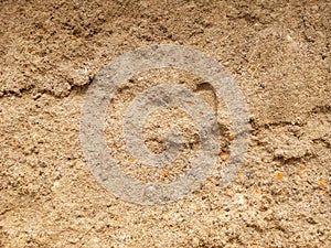 Heart Shape Imprint in Sand