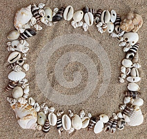 Image of different seashells arranged in frame shape on sand.