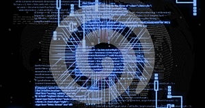 Image of digital data processing,  circuit board over black background