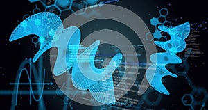 Image of digital data processing and dna strands on black background