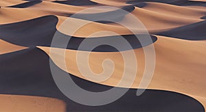 Abstract Sand Dune Patterns in Golden Light