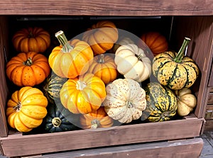 Assortment of Decorative Gourds and Mini Pumpkins in Crate Ai Generated