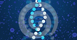 Image of dna over blue cells on navy background