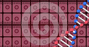 Image of dna over pink cells on black background