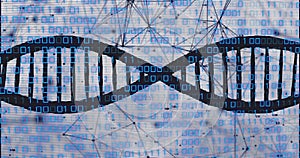 Image of dna strand with binary coding data processing over network of connections
