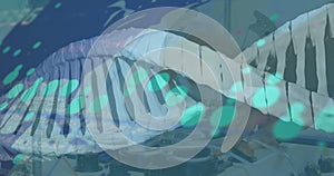 Image of dna strand and data processing over caucasian scientist in lab