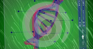 Image of dna strand over light trails on green background