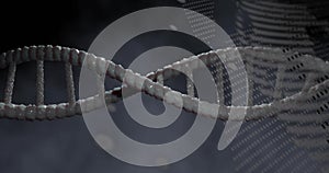 Image of dna strand spinning and data processing on grey background