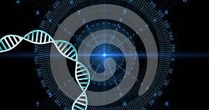 Image of dna strand spinning with data processing over black background