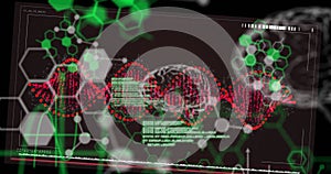 Image of dna strand spinning over data processing