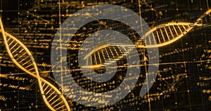 Image of dna strands, data processing on black background