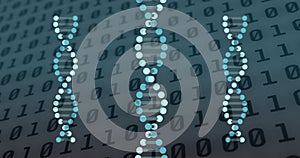 Image of dna strands spinning over binary coding data processing
