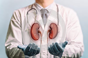 Concept of a healthy kidneys.