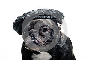 image of dog cap white background