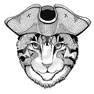 Image of domestic cat wearing pirate hat Cocked hat, tricorn Sailor, seaman, mariner, or seafarer