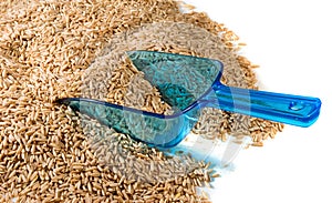 image of dry barley closeup