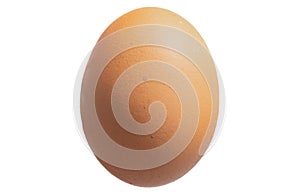 Image of the egg isolated