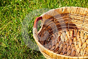 Empty woven basket sitting in field of grass