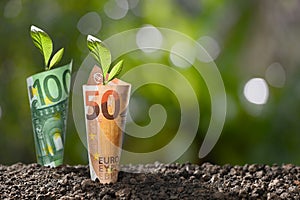 Image of EURO money banknotes with plant growing on top for business