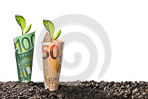 Image of EURO money banknotes with plant growing on top for business